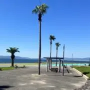 ちゅららの画像