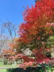 あんね　お値段ご相談くださいの画像
