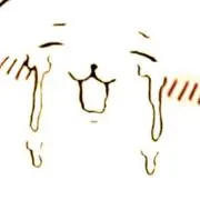 Sayoの画像