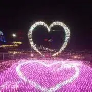 さくらの画像