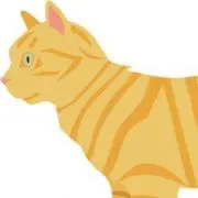 トラ猫