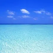 しおんれん
