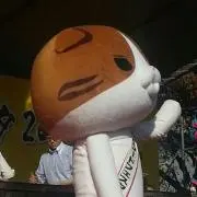 コタ
