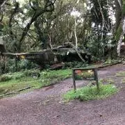 しばっちの画像