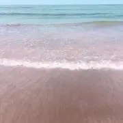 T★コメント無し購入大歓迎