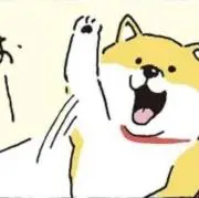 ぴよの画像