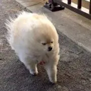 みな