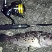 たくやん
