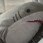 ねあの画像