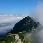 ひめつるの画像