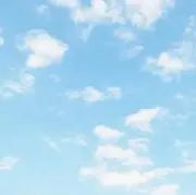 める@次回発送6/27予定の画像