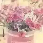 berriesの画像