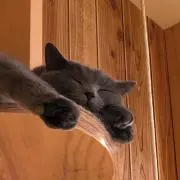 本格水冷専門の画像