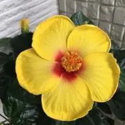 カンタービレの森(プロフ必読下さい)