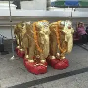 mamitakeの画像