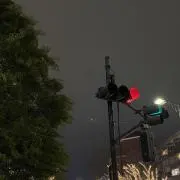 31の画像