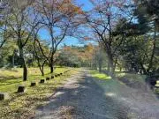 naooの画像