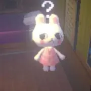 りんごちゃんの画像