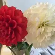 ぶた プロフ確認お願いしますの画像