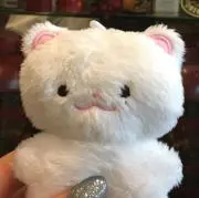 じゃがの画像