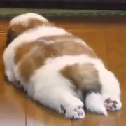 ポン太くん