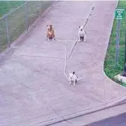 こひまる☻の画像
