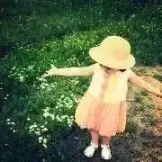 ねこの画像