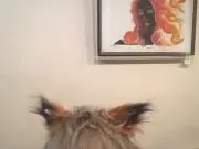 もちこ。の画像