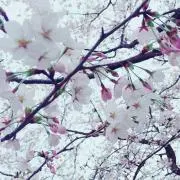 み