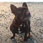 LunaUF