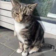 セネガル