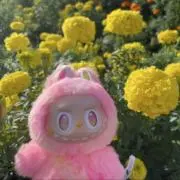 らるプルの画像