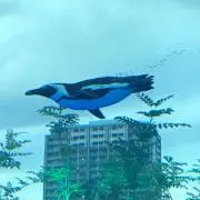 ここあの画像