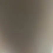 いぬの画像