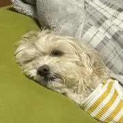 もこの画像