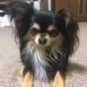 らいの画像