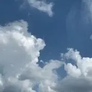 かず