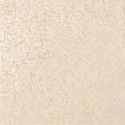 PP