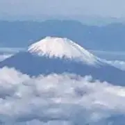 フリマールの画像