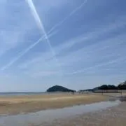 うゆの画像