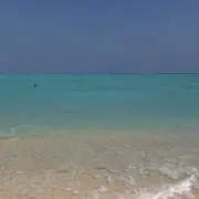 HARUの画像