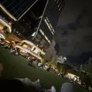 とりの画像