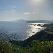 すけとうだら