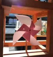 かっちの画像