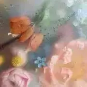 ゆきの画像