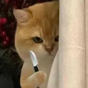 じゅわ丸