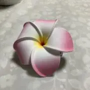 リボンの画像