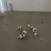 セラリンコの画像