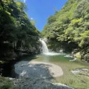 じゃりの画像