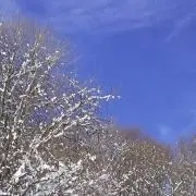 香水瓶の画像